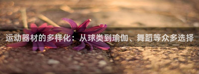 NG大舞台官网下载招商电话：运动器材的多样化：从球类到瑜伽、