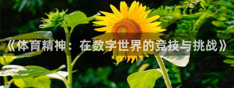 k1体育网址：《体育精神：在数字世界的竞技与挑战》