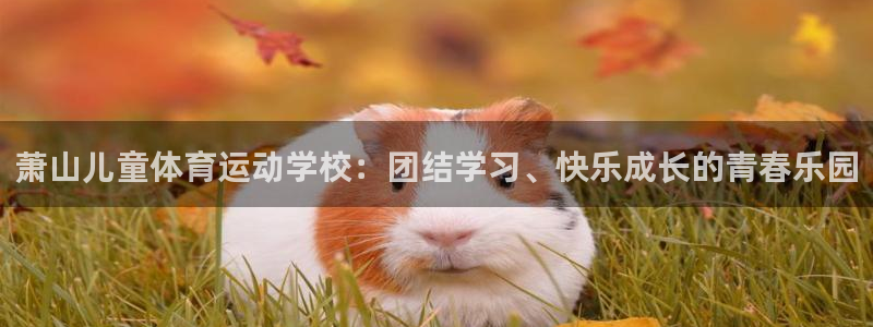 k1体育网址：萧山儿童体育运动学校：团结学习、快乐成长的青春乐园