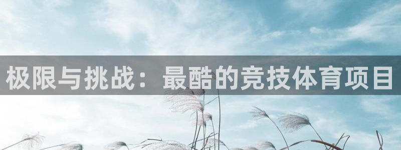k1体育入口：极限与挑战：最酷的竞技体育项目