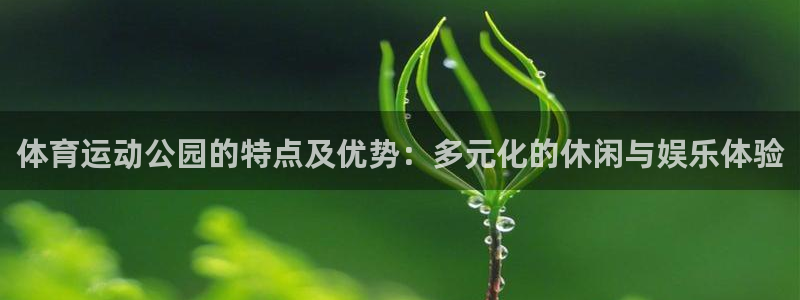k1体育十年平台：体育运动公园的特点及优势：多元化的休闲与娱乐体验