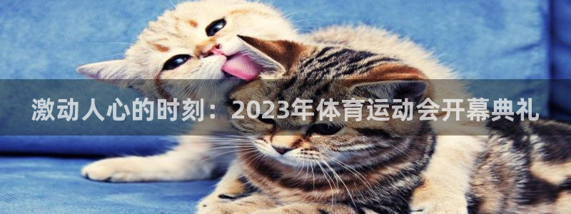 k1体育娱乐：激动人心的时刻：2023年体育运动会开幕典礼