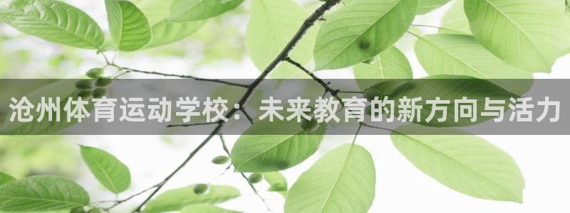 k1体育平台3915