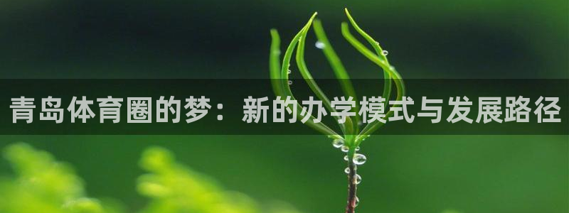 k1体育十年品牌官网