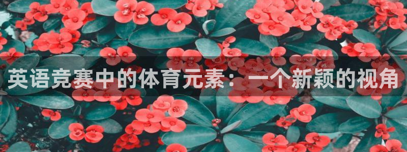 k1体育网址