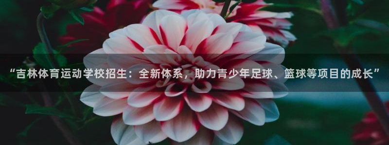 k1体育入口