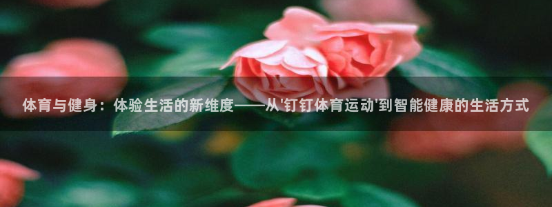 k1体育十年品牌值得信赖网址