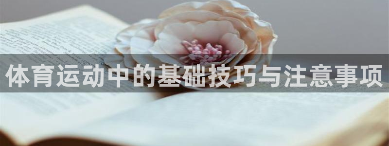 k1体育十年品牌官网：体育运动中的基础技巧与注意事项