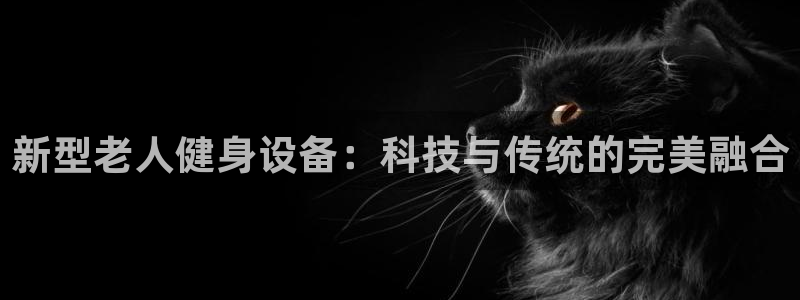 NG大舞台官网下载招商电话地址查询：新型老人健身设备：科技与