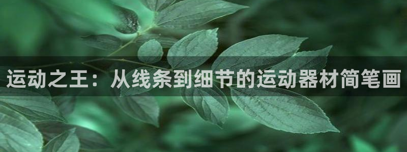 NG大舞台官方正版app官方：运动之王：从线条到细节的运动器